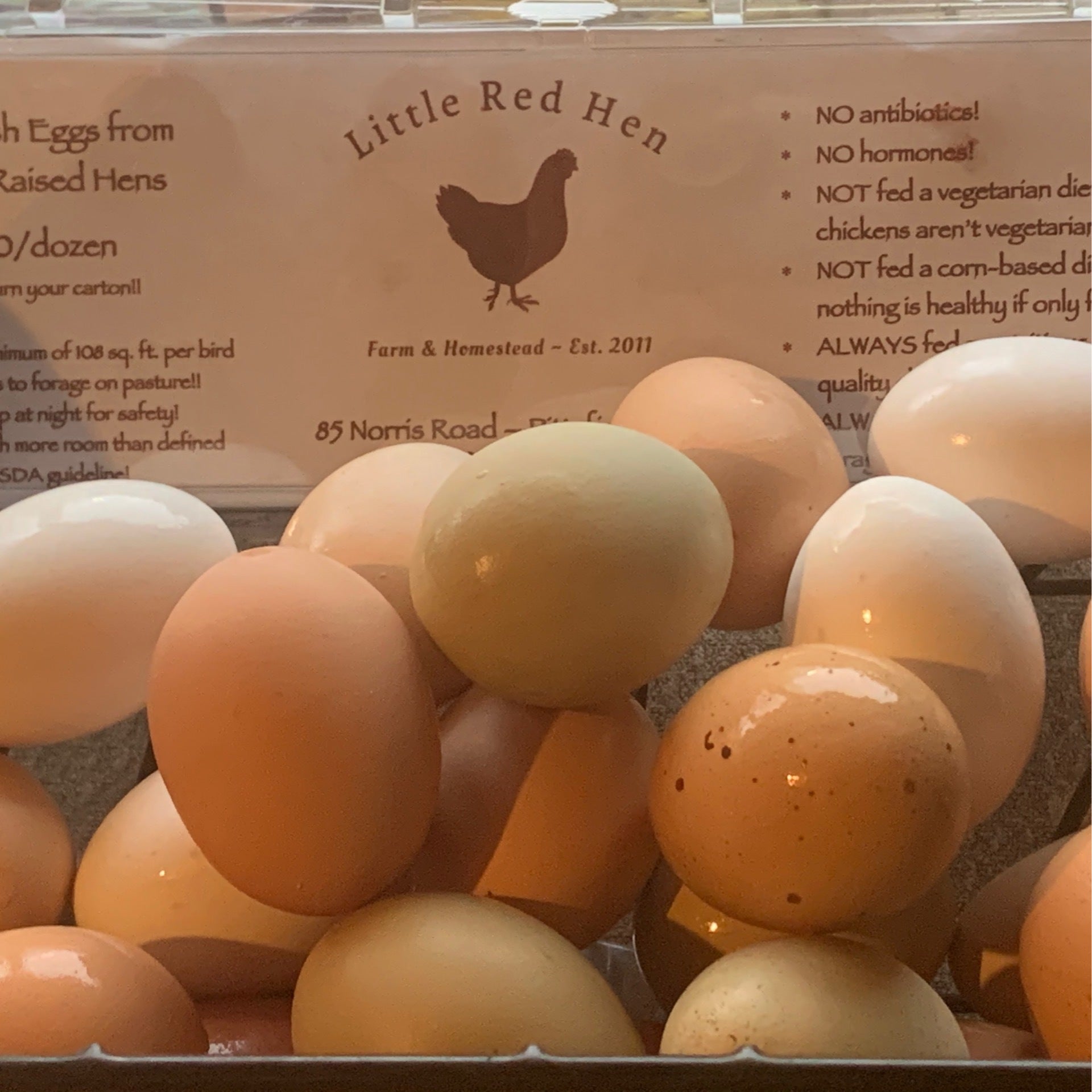 Little Dutch – Good Little Egg